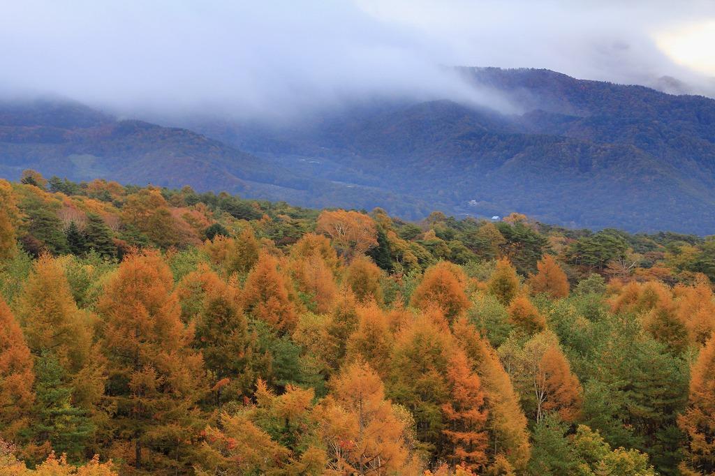Kiyosato Pension Izumi Hokuto  Esterno foto